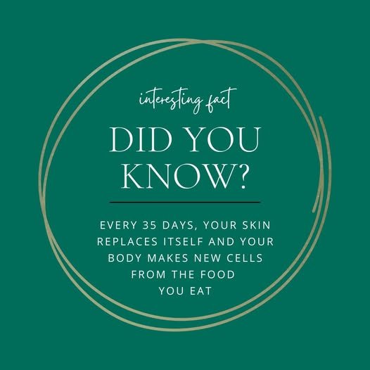 skin facts